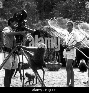 JANE GOODALL, Tierverhaltensforschers, blickt auf, während ihr Ehemann Baron Hugo van Lawick, eine Nahaufnahme von einem verspielten Primaten schießt. UNDA Stockfoto