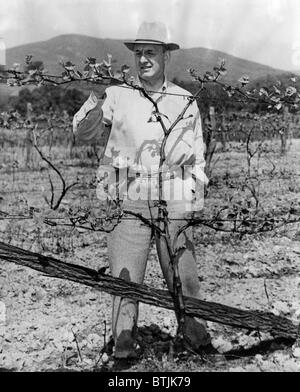 Henry Morgenthau Jr., (Secretary Of The Treasury) auf seinem Weingut in Wiccopee, New York, 17. Mai 2944 Stockfoto