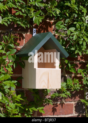Robin Nistkasten Stockfoto