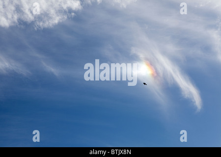 Vierte von fünf Sequenz-Shooting mit Sonne Hund oder Parhelion über den Fotografen im Juli dieses Jahres. Stockfoto