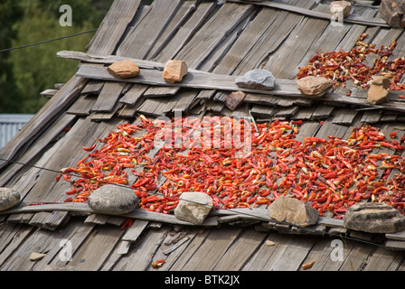 Trocknen von Chilis auf dem Dach kann leicht in jede bhutanischen Städte, Paro, Bhutan gesehen Stockfoto