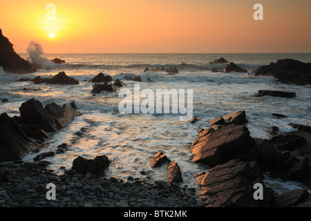 Sonnenuntergang über Felsen am Hartland Quay, North Devon, England, UK Stockfoto