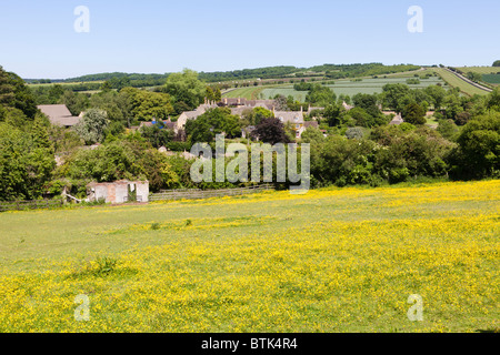 Ein Feld voller Butterblumen in Cotswold Dorf von Ford, Gloucestershire Stockfoto