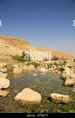 Samaria, Einot Petzael im Nachal Petzael Stockfoto