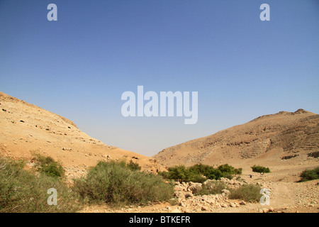 Samaria, Einot Petzael im Nachal Petzael Stockfoto