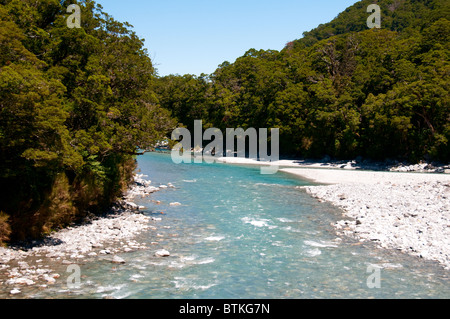 Haast Pass, Haast River, Südalpen, Rata Bäume in Blüte, Südinsel, Neuseeland Stockfoto