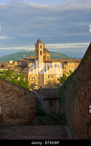 Urbino Italien Dogenpalast Kuppel le Marche italienischen Hang Stockfoto