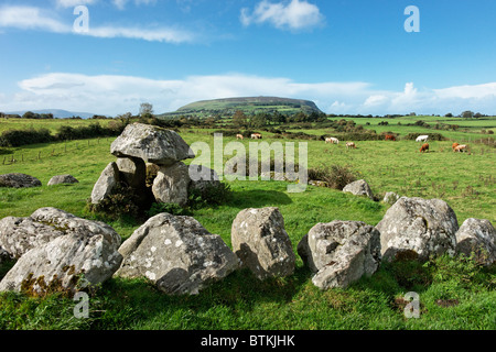 7, ein Dolmen mit Steinkreis auf dem Carrowmore Megalith Friedhof Grab in der Nähe von Sligo, County Sligo, Connaught, Irland. Stockfoto