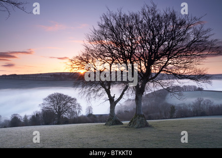 Früh am Morgennebel bei Sonnenaufgang, Exmoor National Park, Somerset, England, UK. April 2008 Stockfoto