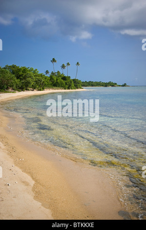 Coral Reef & isoliert einsamen Strand, Vieques Puerto Rico Stockfoto