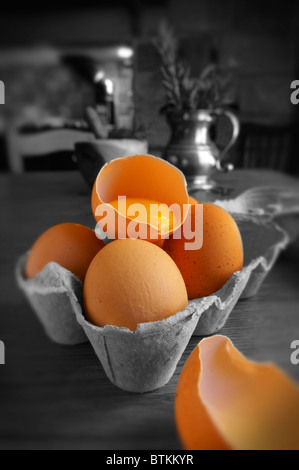 Frischeier braun Stockfoto