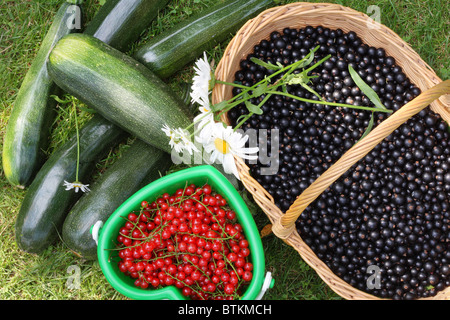 Körbe mit Beeren Stockfoto