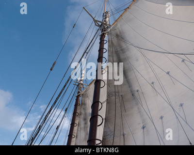 Segelschiff der Appledore Schooner aus Key West in Florida USA Stockfoto