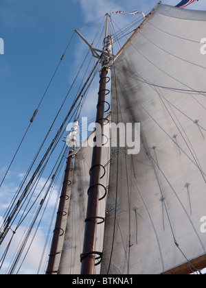 Segelschiff der Appledore Schooner aus Key West in Florida USA Stockfoto