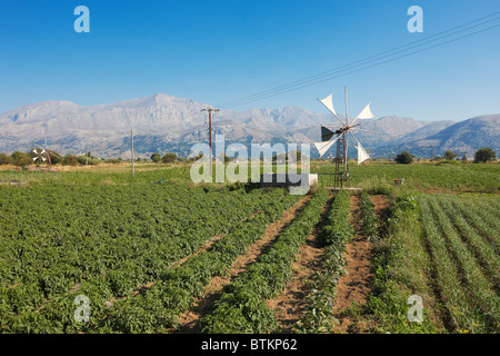 Malerischer Blick auf bearbeitete landwirtschaftliche Flächen auf dem Lasithi-Plateau. Kreta, Griechenland. Stockfoto