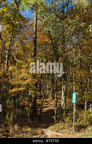 Der Appalachian Trail am Hog Pen Gap auf Richard Russell Scenic Highway (348), Chattahoochee National Forest, North Georgia, USA Stockfoto