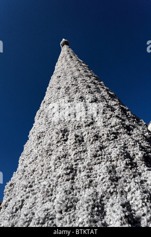 Sehr großen und hohen Weihnachtsbaum in Salerno, Kampanien, Italien Stockfoto