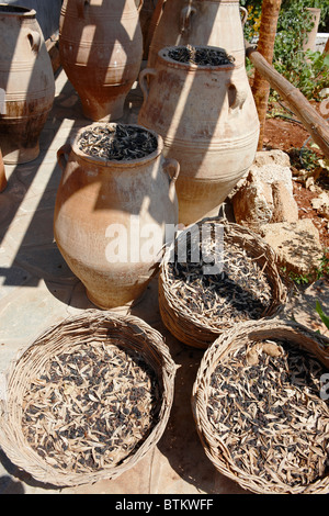 Gesalzen und getrocknet Oliven in Gläsern und Körbe in der Olive Farm gespeichert. Kreta, Griechenland. Stockfoto