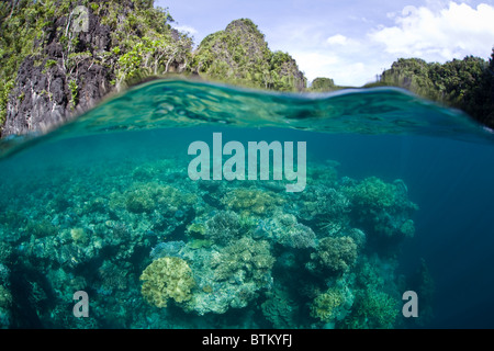 Kalksteininseln schützen ein vielfältiges Farbsäume Korallenriff in der Nähe der Insel Misool, Papua, Indonesien. Stockfoto