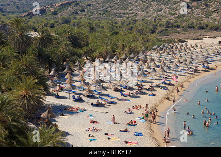 Palmenstrand von Vai. Kreta, Griechenland. Stockfoto
