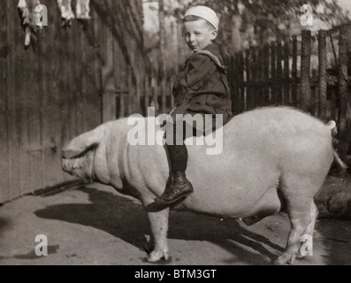 Historisches Foto (1910) von einem jungen reitet auf einem Schwein Stockfoto