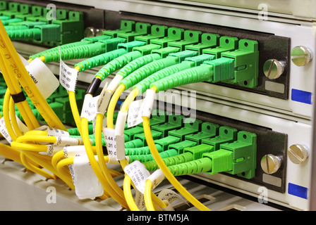 Grüne Singlemode sc Stecker verbunden, Patch-panel Stockfoto