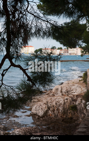 der kroatischen Küstenstadt Porec durch Pinien und felsigen Küste im Hochformat Stockfoto