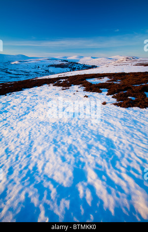 Schottland, Schottisches Hochland, Cairngorm National Park. Am späten Nachmittag Licht erhellt die sanften Hügeln der Cairngorms Stockfoto