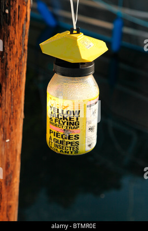 Insektenfalle Stockfoto