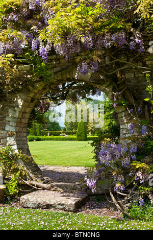 Blauregen wächst über eine kreisförmige Öffnung in eine Gartenmauer mit Blick durch auf den Rasen hinaus. Stockfoto