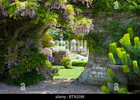 Blauregen wächst über eine kreisförmige Öffnung in eine Gartenmauer mit Blick durch auf den Rasen hinaus. Stockfoto