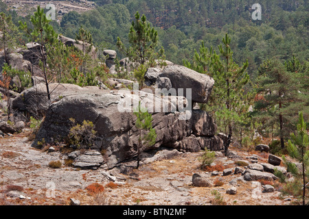 Felsen auf Serra Gerês in Portugal, das aussieht wie der Hund Aibo-Produkt von Sony. Stockfoto