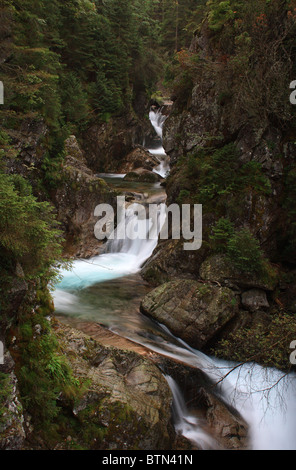 Wodogrzmoty Mickiewicza - der Komplex der Wasserfälle in der hohen Tatra, Polen Stockfoto