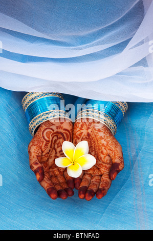Indisches Mädchen trägt einen blauen Sari mit Henna hands holding eine Frangipani Blume. Indien Stockfoto
