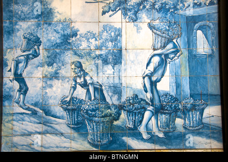 Die Ernte der Trauben Szene gemalt auf blauen Kacheln Blandy Weinmuseum Funchal Madeira Portugal Stockfoto
