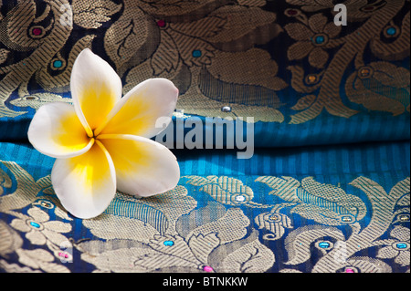 Plumeria. Frangipani Blume auf Indische Seide Sari. Indien Stockfoto