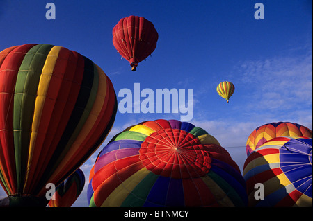 Kent International Balloon Festival Heißluftballons am Anfang bei Sonnenaufgang zu heben Stockfoto