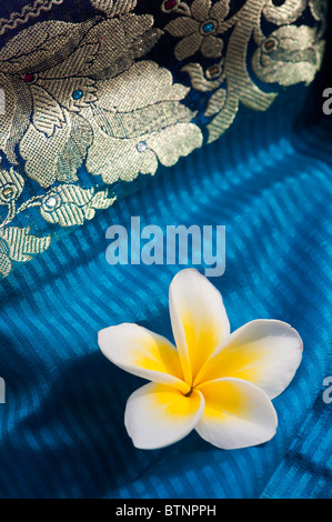 Plumeria. Frangipani Blume auf Indische Seide Sari. Indien Stockfoto