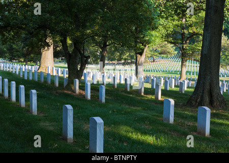 Arlington, VA - Sep 2009 - Reihen von Grabsteinen auf dem Arlington Nationalfriedhof Arlington, Virginia Stockfoto