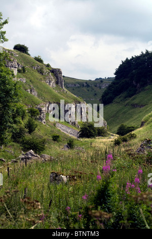 Kalkstein Schlucht Lathkill Dale Derbyshire England Stockfoto