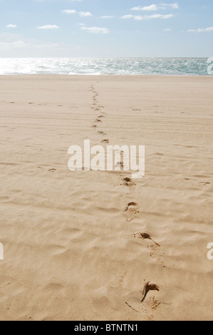 Spuren (Schuhabdrücke) an einem Strand in Rota, Spanien, führt über den Strand in Richtung Meer. Stockfoto