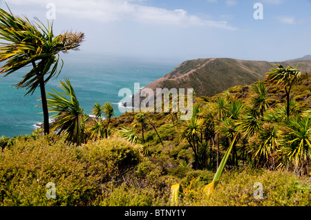 Cape Reinga, Leuchtturm, Cape Maria Van Dieman, Spirits Bay, Te Werahi Beach Motuopao Island, North Island, Neuseeland Stockfoto