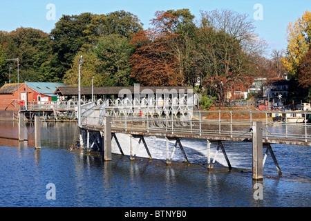 Blick auf die Themse bei Hampton Court Molesey, Surrey England UK. Stockfoto