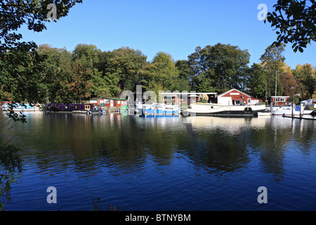 Hausboote auf der Themse bei Molesey Surrey England UK. Stockfoto