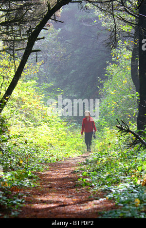40,461.07589 Frau in rot zu Fuß in Richtung Kamera auf sonnigen hinterleuchtet tunnelartiger Waldweg Stockfoto