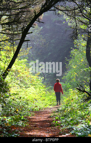 40,461.07590 Frau in rot zu Fuß entfernt auf sonnigen hinterleuchtet tunnelartiger Waldweg Stockfoto
