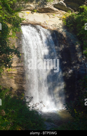 Wasserfall namens Looking Glas Wasserfall befindet sich im Pisgah National Forest im westlichen North Carolina-USA Stockfoto