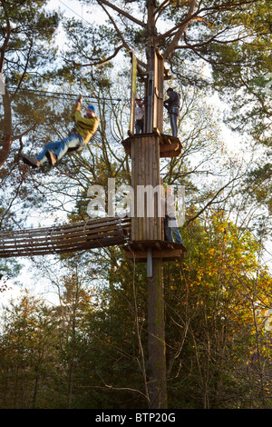 Ape im freien Kurs - Wendover Woods - Buckinghamshire zu gehen. Stockfoto