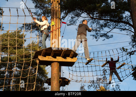 Ape im freien Kurs - Wendover Woods - Buckinghamshire zu gehen. Stockfoto