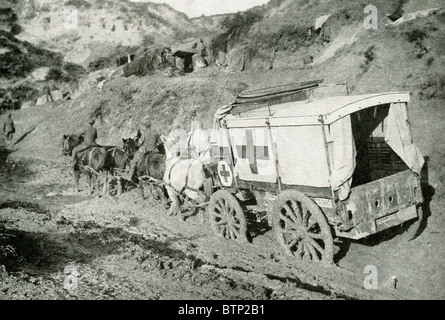 Dieses Foto um 1915 im ersten Weltkrieg zeigt einen Krankenwagen, gezeichnet von einem Team von Pferde in großen Schlucht bei Helles. Stockfoto